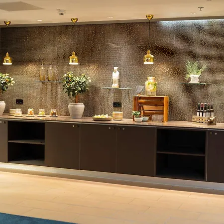 酒店 多特蒙德丽笙布鲁酒店 4*